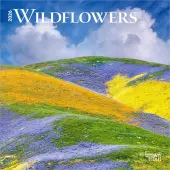 Wildflowers 2026 Mini Wall Calendar