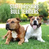 Staffordshire Bull Terriers 2026 Wall Calendar