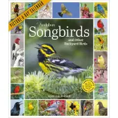 Audubon 365 Songbirds 2026 Wall Calendar