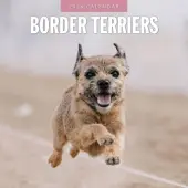 Border Terriers 2026 Wall Calendar