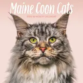 Just Maine Coon Cats 2026 Wall Calendar