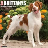 Just Brittanys 2025 Wall Calendar