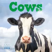 Just Cows 2026 Wall Calendar