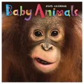 Baby Animals 2025 Mini Wall Calendar