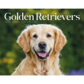 Golden Retrievers 2026 Desk Calendar