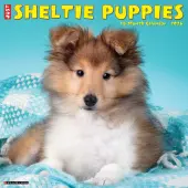 Just Sheltie Puppies 2026 Wall Calendar