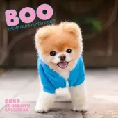 Boo 2025 Wall Calendar