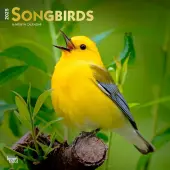 Songbirds Square 2025 Wall Calendar
