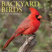 Birds Backyard 2026 Wall Calendar