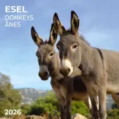 Donkeys 2026 Wall Calendar
