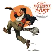 Rockwell 2025 Mini Wall Calendar