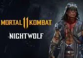 Mortal Kombat 11 Nightwolf (DLC) (PC) Steam Key - GLOBAL