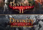 Divinity: Original Sin 1 + 2 Bundle (PC) GOG.com Key - GLOBAL