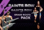 Saints Row IV - Grass Roots Pack (DLC) (PC) Steam Key - GLOBAL