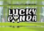 Lucky Panda (PC) Steam Key - GLOBAL
