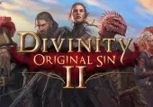 Divinity: Original Sin 2 - Divine Ascension (DLC) (PC) GOG.com Key - GLOBAL
