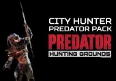 Predator: Hunting Grounds - City Hunter Predator DLC Pack (DLC) (PC) Steam Key - GLOBAL
