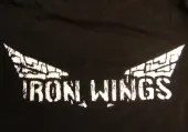 Iron Wings (PC) Steam Key - GLOBAL