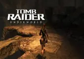 Tomb Raider: Underworld (PC) Steam Gift - GLOBAL
