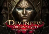 Divinity: Original Sin - The Source Saga (PC) GOG.com Key - GLOBAL