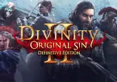 Divinity: Original Sin 2 - Definitive Edition (PC) GOG.com Key - GLOBAL