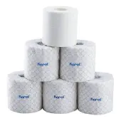 [48 Rolls] Standard 2-ply Toilet Paper Rolls
