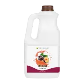 Plum Syrup - Bottle (64oz)