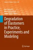 Degradation of Elastomers in Practice, Experiments and Modeling