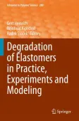 Degradation of Elastomers in Practice, Experiments and Modeling