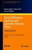Partial Differential Equations and Geometric Measure Theory