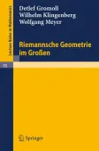 Riemannsche Geometrie im GroÃen
