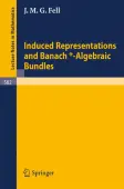 Induced Representations and Banach*-Algebraic Bundles