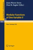 Modular Functions of One Variable V