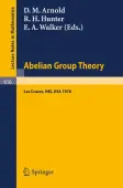 Abelian Group Theory