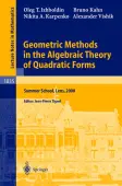 Geometric Methods in the Algebraic Theory of Quadratic Forms