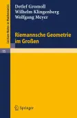 Riemannsche Geometrie im GroÃen
