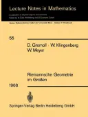 Riemannsche Geometrie im GroÃen
