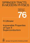 Irreversible Properties of Type II Superconductors