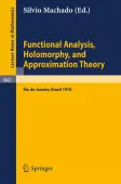 Functional Analysis, Holomorphy, and Approximation Theory