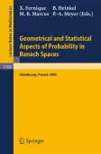Geometrical and Statistical Aspects of Probability in Banach Spaces