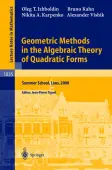 Geometric Methods in the Algebraic Theory of Quadratic Forms