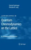 Quantum Chromodynamics on the Lattice