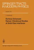 Surface Enhanced Raman Vibrational Studies at Solid Gas Interfaces