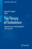 The Theory of Turbulence