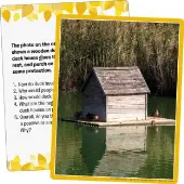 Environmental Impact Photo Cards 25 cards by Really Good Stuff LLC