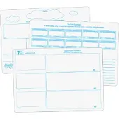 Comprehension Graphic Organizer Dry Erase Boards Text Evidence Set by Really Good Stuff LLC