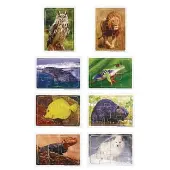 Animals in Their Biomes Puzzles Set of 8 by Excellerations