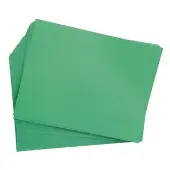 12 x 18 Mediumweight Construction Paper 50 Sheets Color Holiday Green by Colorations