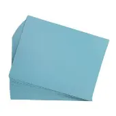 12 x 18 Mediumweight Construction Paper 50 Sheets Color Sky Blue by Colorations