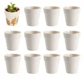 Ceramic Flowerpots Set of 12 by Colorations